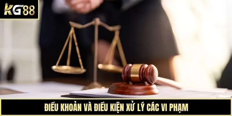 Điều khoản và điều kiện xử lý các vi phạm